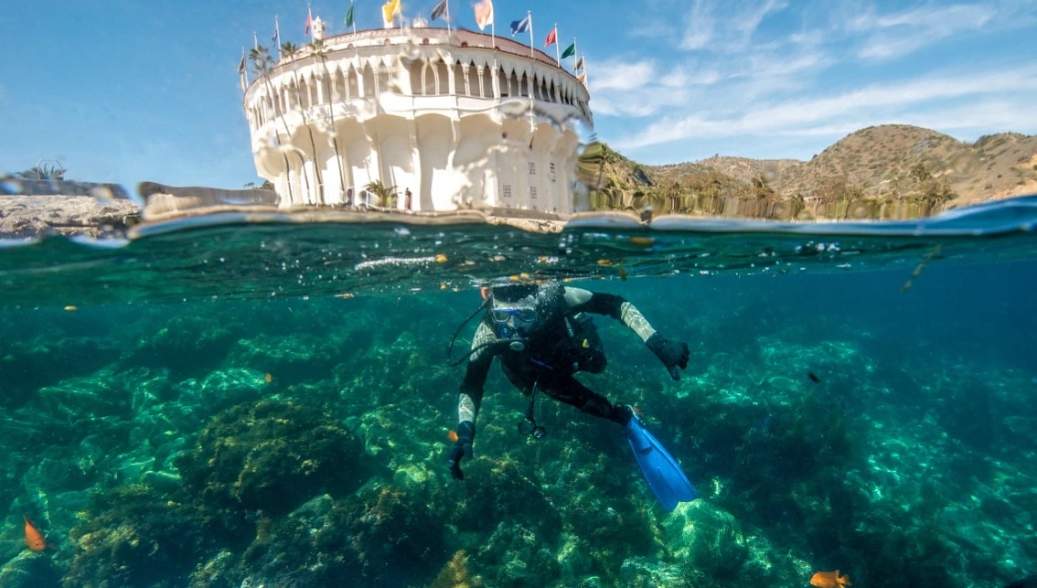 Diving in California