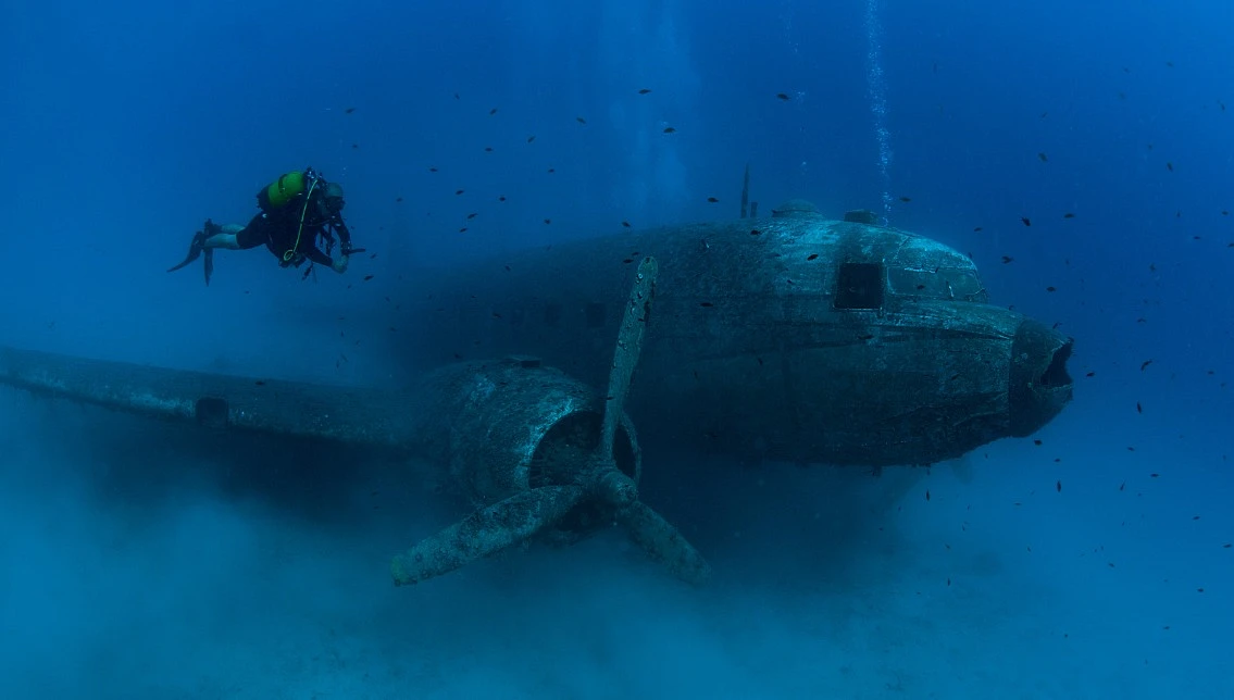 diving in Washington