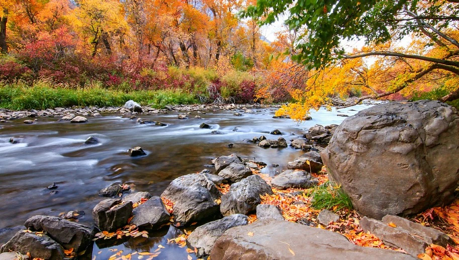 Fall in Utah