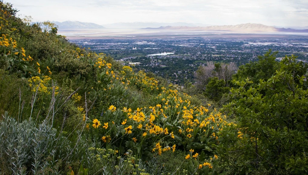 Summer in Utah