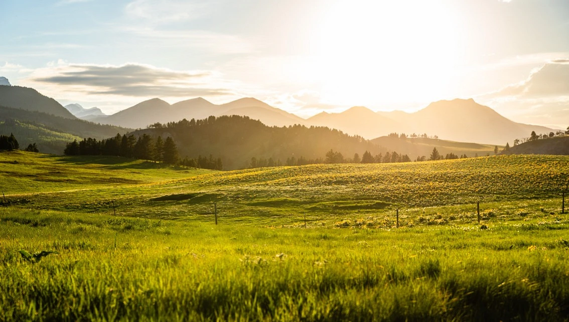 Summer in Montana