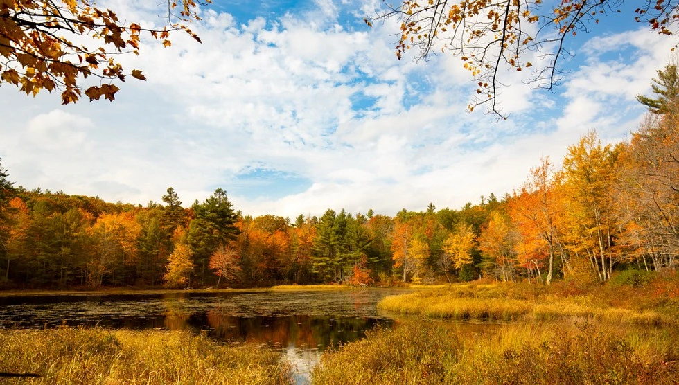 Fall in New Hampshire
