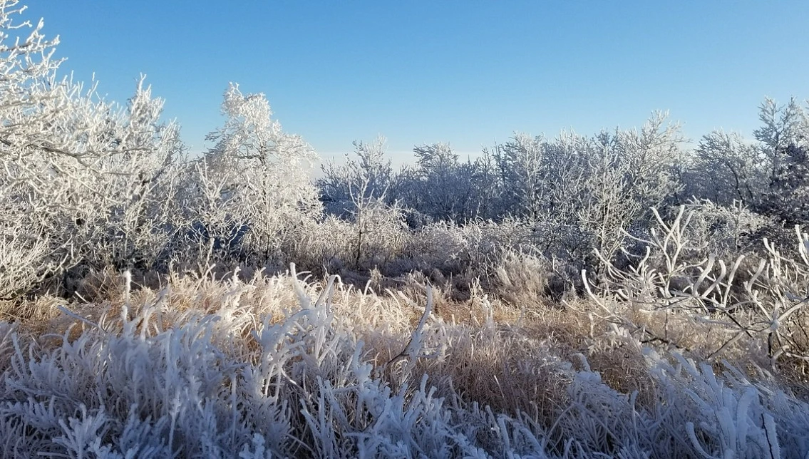 Winter in Oklahoma
