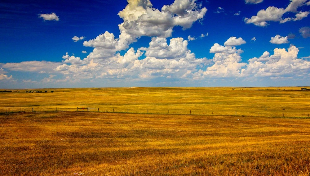 Summer in North Dakota