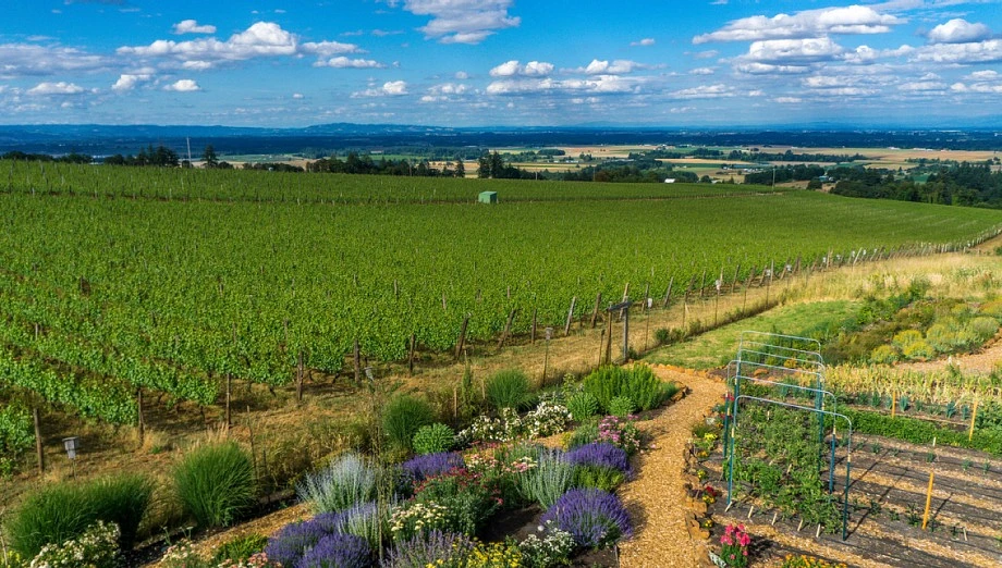 Willamette Valley