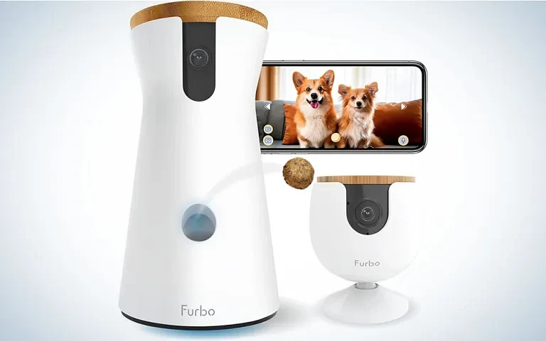 AI Gadgets You Can Actually Buy Today