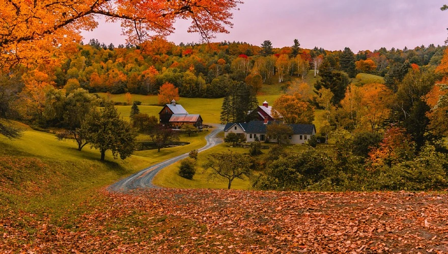 Fall in Vermont