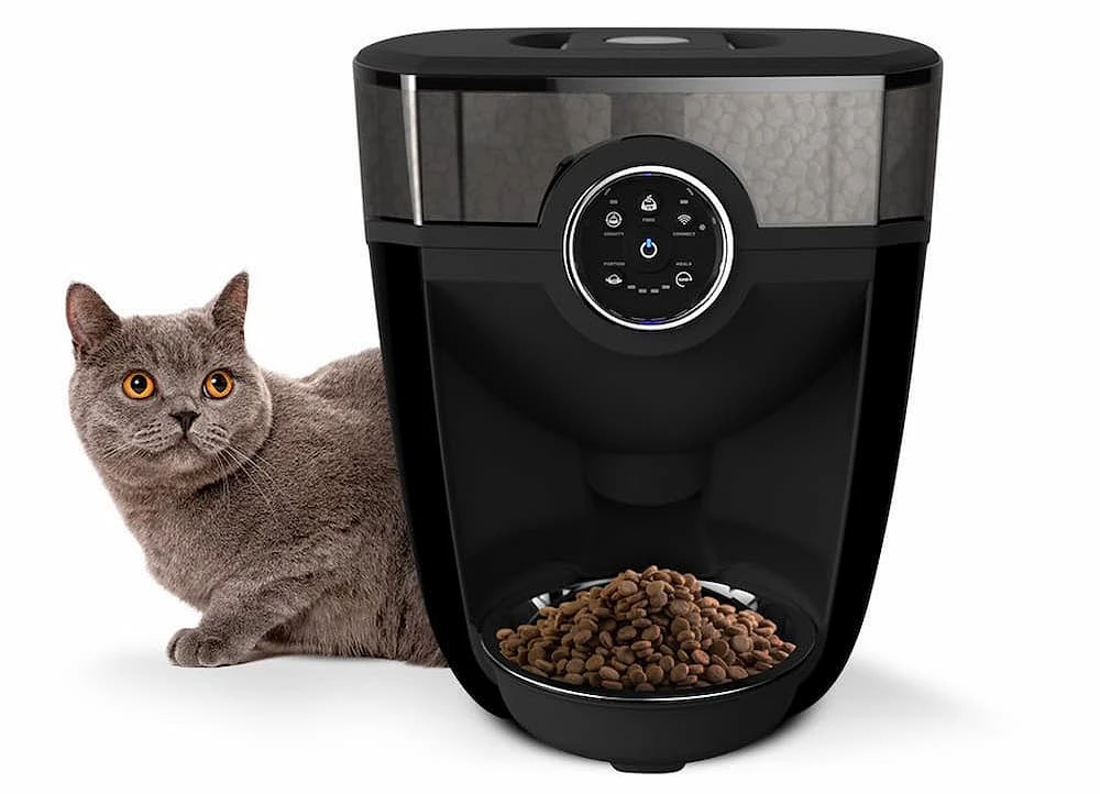 The Best Automatic Pet Feeders In 2026